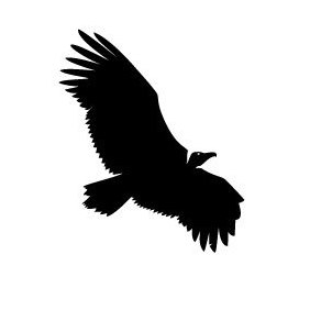 Vulture Vector Image - Free vector #219353