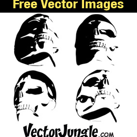 Skulls - vector gratuit #222933 
