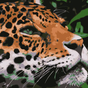 Jaguar Vector - Kostenloses vector #223683