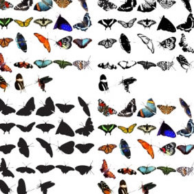 93 Butterflies - vector gratuit #223703 