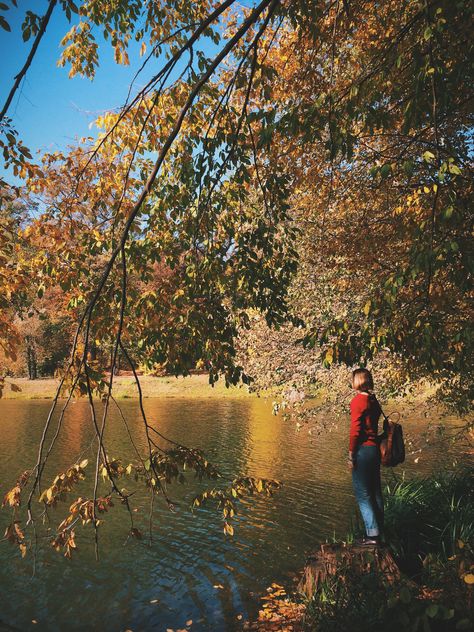 #autumncity, Girl under autumn trees on the shore of the lake - бесплатный image #271703