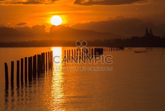 Golden sunset - image gratuit #271863 