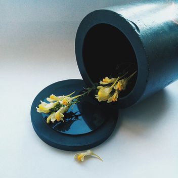 Yellow flowers, vase, autumn - image #272173 gratis