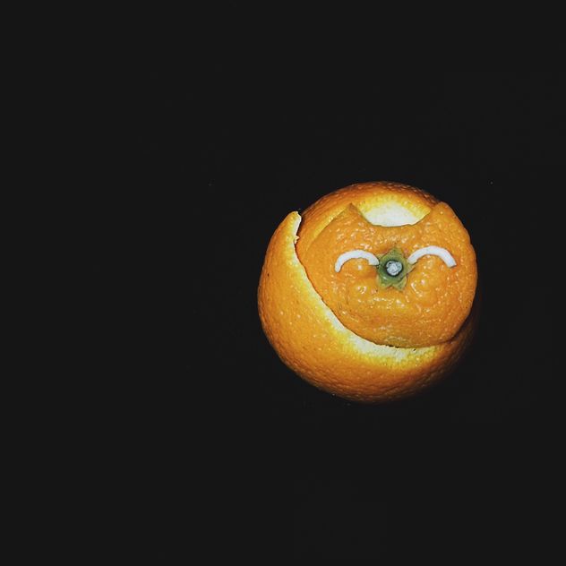 cat made of tangerine peel on a black background - бесплатный image #272253