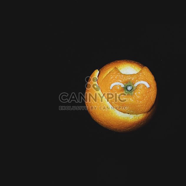 cat made of tangerine peel on a black background - бесплатный image #272253