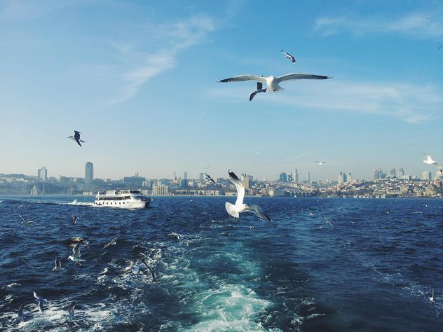 seagulls flying and boat at sea - image #272313 gratis