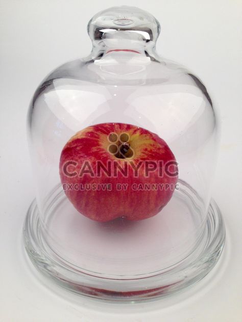 Red apple under glass cover - image gratuit #272523 