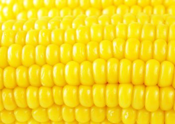 #goyellow food corn - image #272593 gratis