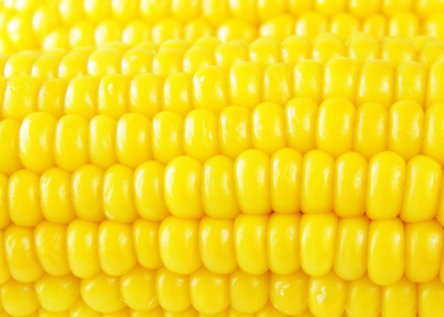 #goyellow food corn - Free image #272593