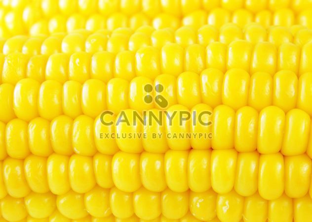 #goyellow food corn - Free image #272593