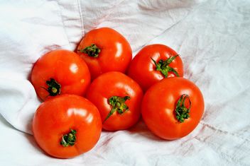Six Tomatoes - Free image #274833