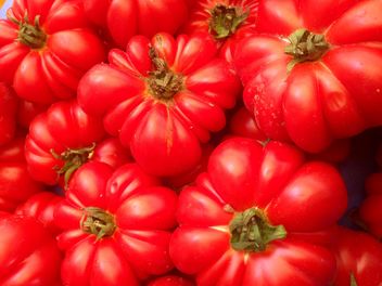 Bunch of tomatoes - Free image #274843