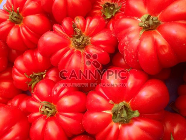 Bunch of tomatoes - image gratuit #274843 