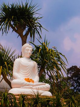 Buddha statue - бесплатный image #275023