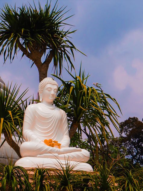 Buddha statue - image gratuit #275023 