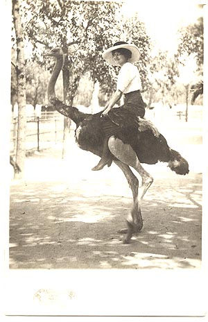 Lady on ostrich (postcard) - Kostenloses image #275343