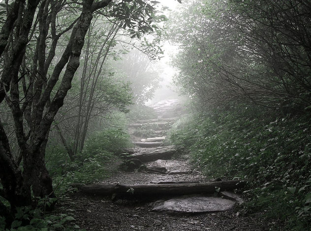 Misty Mountains - Free image #276033