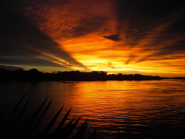 Orange Sunset on the Zambezi - Free image #276273
