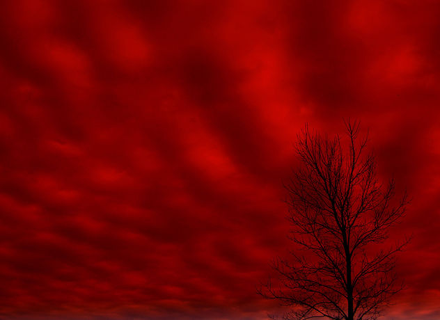 Blood Red Sky - image gratuit #276643 
