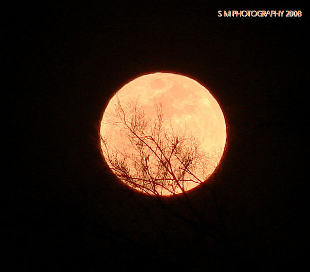 THIS EVENINGS FULL MOON - Free image #278143