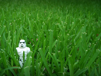 I Fought The Lawn ... And The Lawn Won - image gratuit #279843 