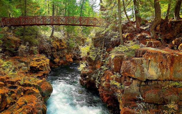 Nature - Rogue River, Klamath Mountains, Oregon - image gratuit #280373 
