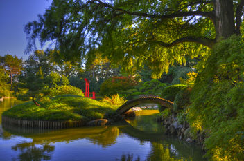 Koi Pond, Brooklyn Botanical Garden - бесплатный image #280473