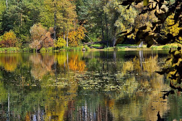 Autumn lake - image #280933 gratis