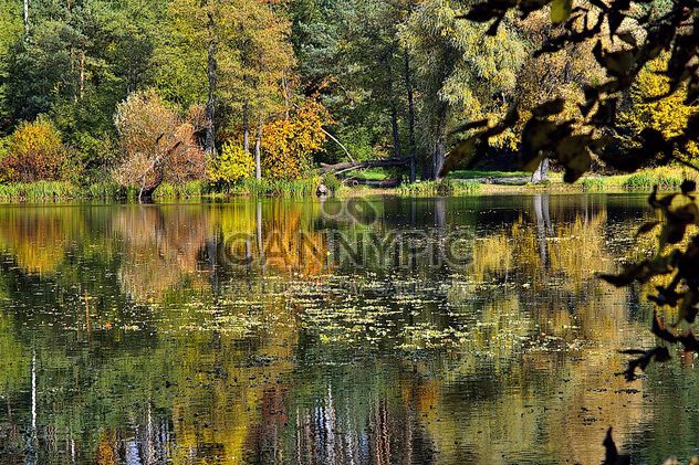 Autumn lake - image #280933 gratis