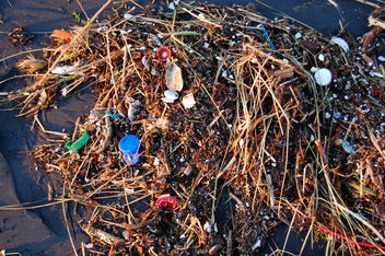 Plastic Ocean - Kostenloses image #284033