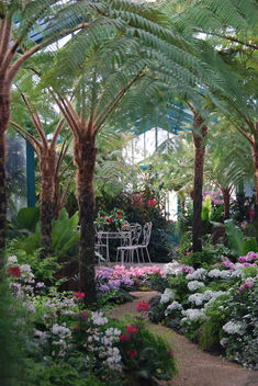 Le petit jardin tropical (Serres Royales de Laken -Bruxelles) - image #285073 gratis
