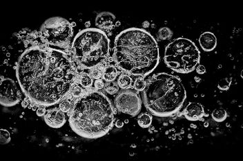 Bubbles - Free image #285963