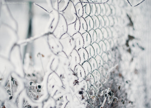 358/365 Frozen gates - image gratuit #285993 