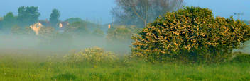 Burnham on Sea early morning mist #dailyshoot - image #286563 gratis