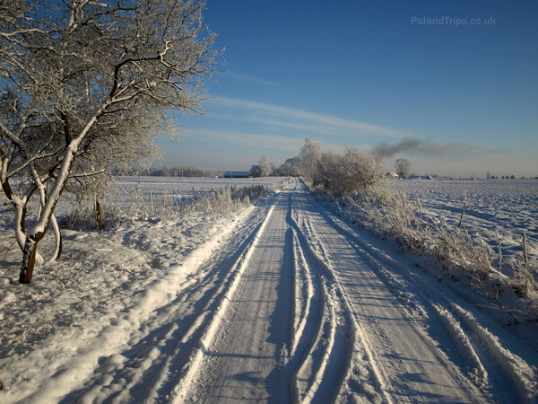 Frozen Country Lane - Free image #287293