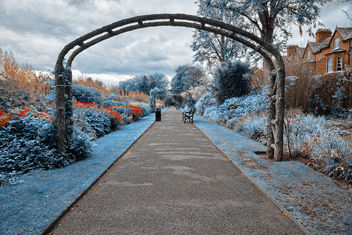 Blue Belfast Botanic Gardens - HDR - Kostenloses image #288193