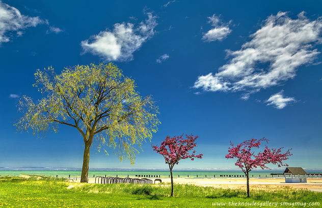 Spring trees and beach on Lake Michigan - Kostenloses image #288393