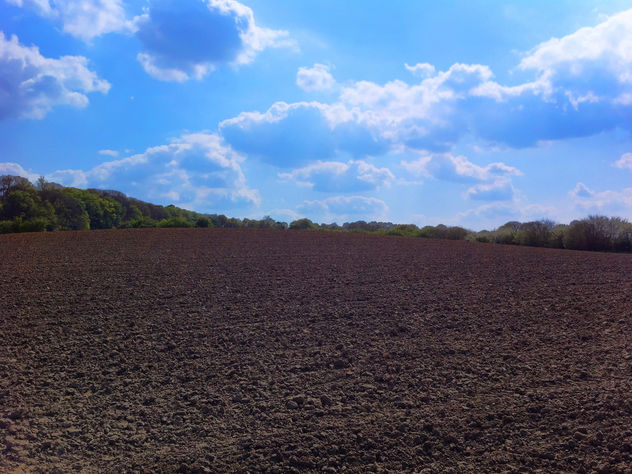 Fields At The Start Of Summer - Free image #288623