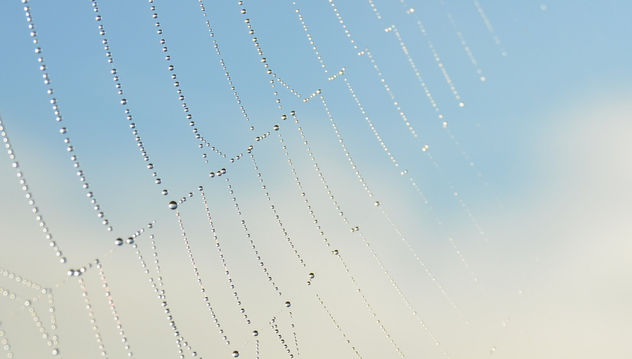 Web of pearls up in the sky - Kostenloses image #289323
