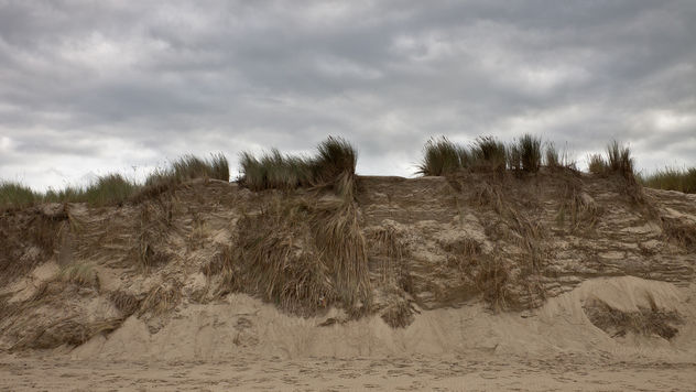 beach dunes - image #289543 gratis