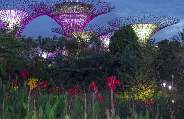 Gardens by the Bay,Singapore - image gratuit #290443 