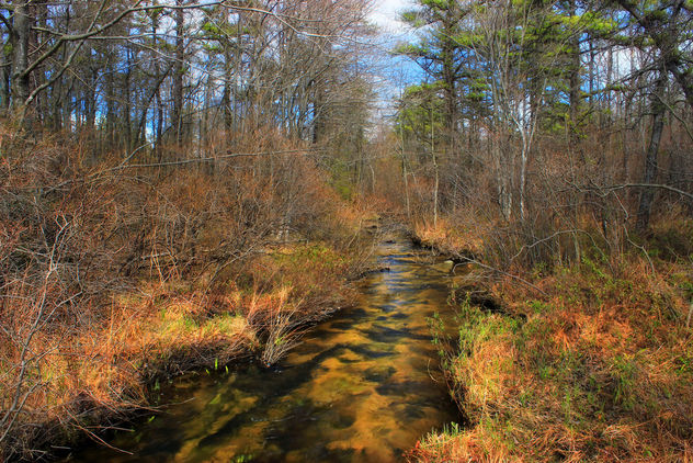 Jeans Run (Headwaters) (1) - Free image #291753
