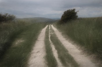 path over the south downs - бесплатный image #294073
