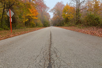 Misty Fall Road - HDR - image #295213 gratis