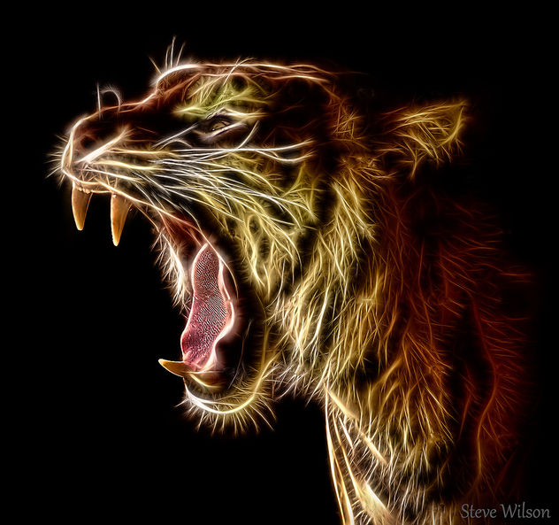 The Fire Tiger - Free image #297013