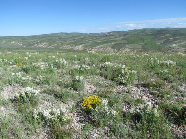 Southwest Wyoming sage-steppe habitat. - image #299183 gratis