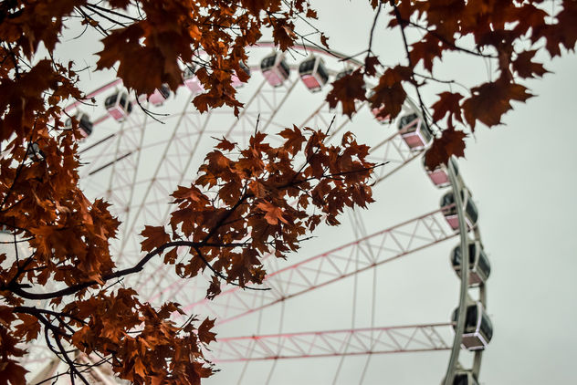 Ferris Wheel, Atlanta - Free image #299723