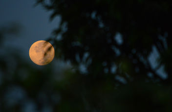 First Impression of the full moon - Free image #300673
