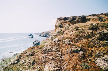 Ocean Cliffs - Free image #300963