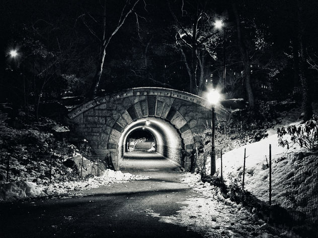 Inscope Arch at Central Park - Kostenloses image #301043